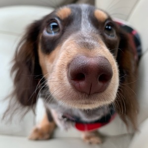 Fundraising Page: Evelyn Trojbom